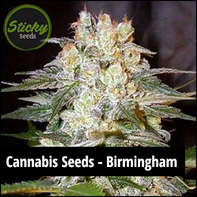 cannabis seeds in Birmingham