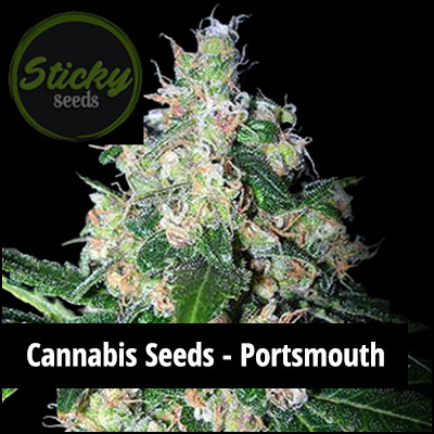 cannabis seeds in Portsmouth