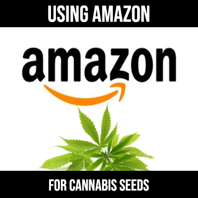 cannabis seeds and amazon