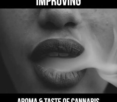 improving the taste and aroma of weed