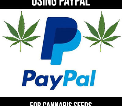 paypal and cannabis seeds