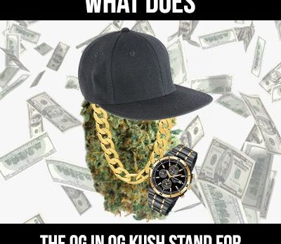 what does og in og kush mean