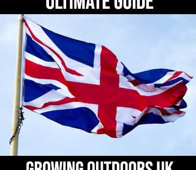 growing outdoors in the uk