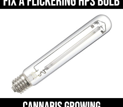 flickering hps bulb