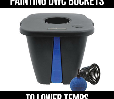 painting dwc buckets