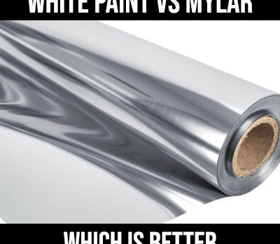 white paint vs mylar